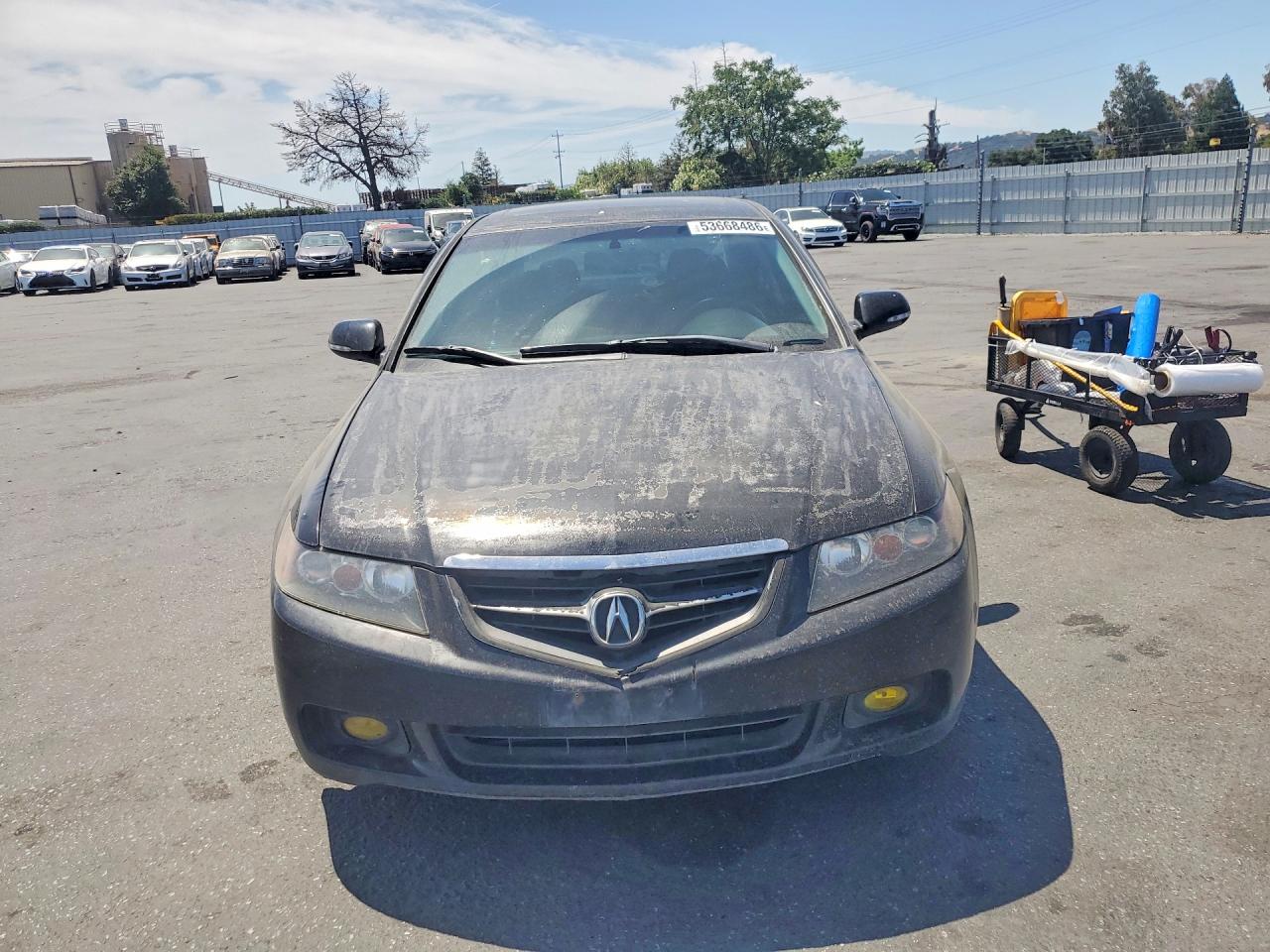 Acura TSX