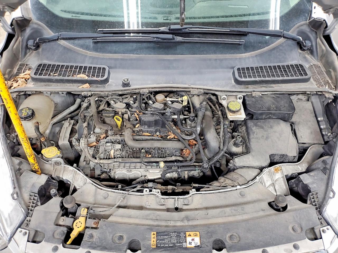 Ford Escape Se