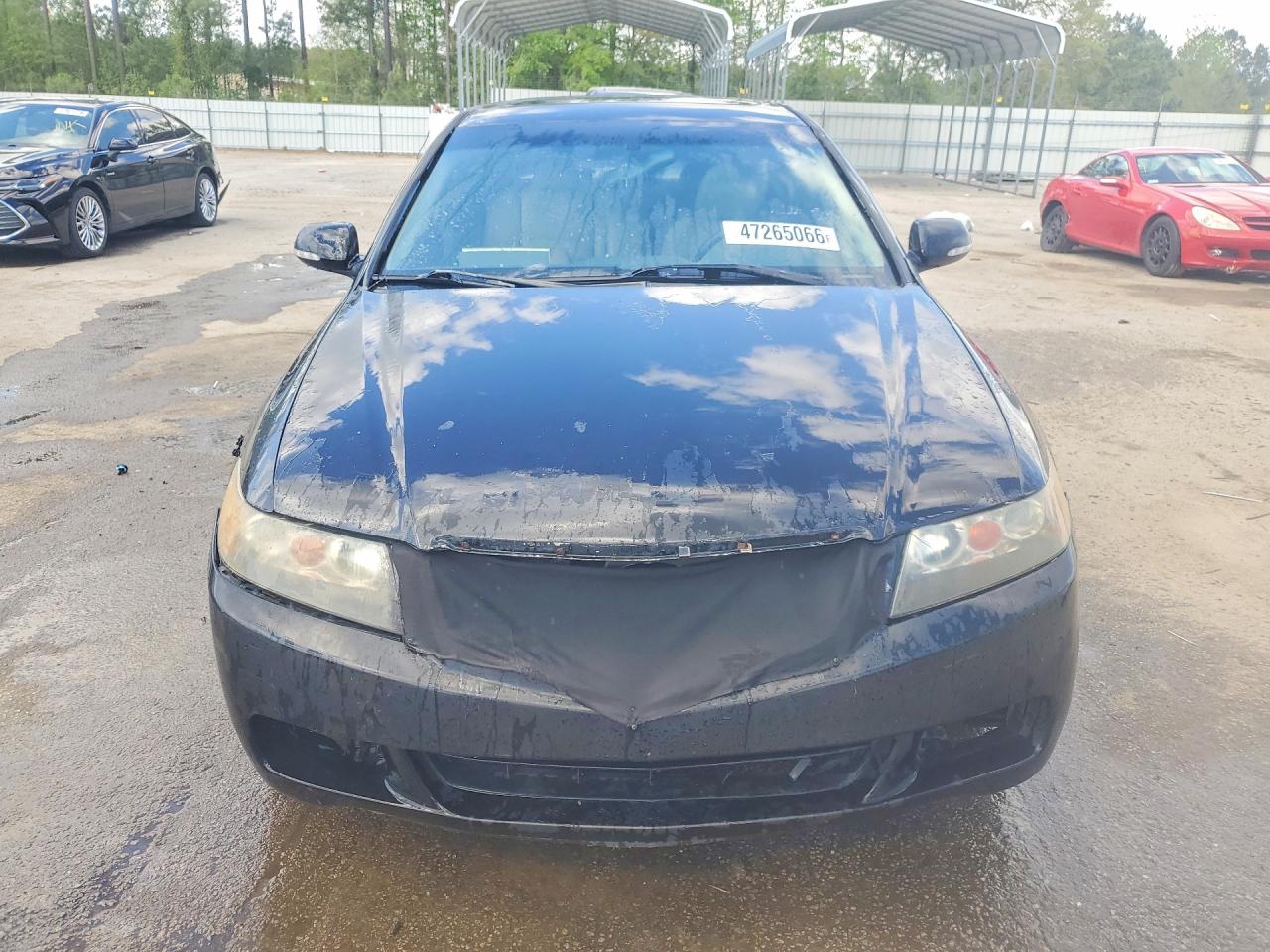 Acura TSX
