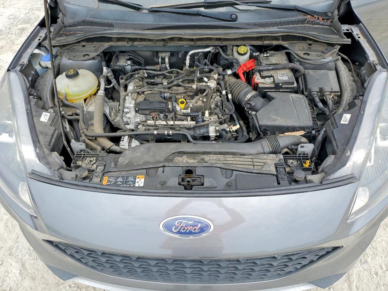 Ford Escape S