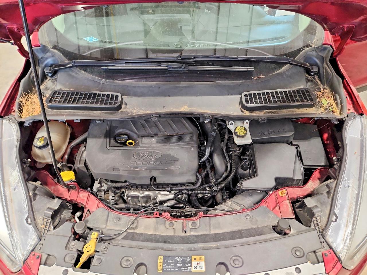 Ford Escape Se