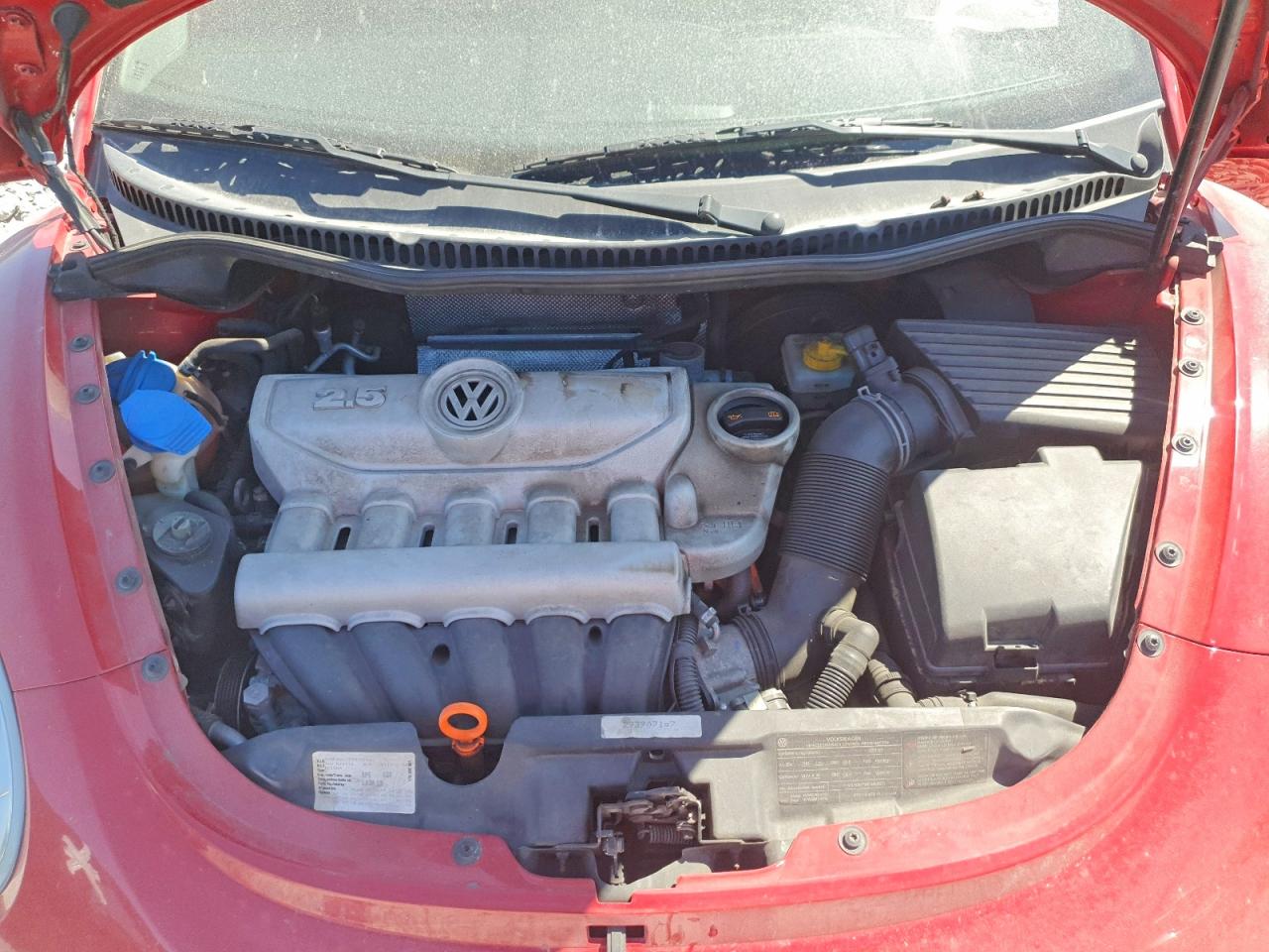 Volkswagen Beetle S