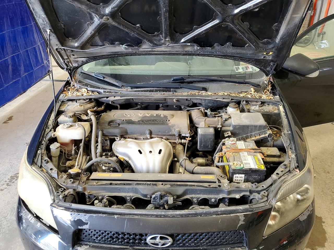 Scion TC Base