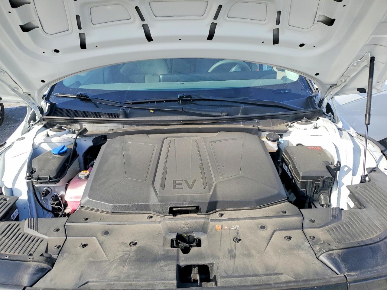 Hyundai Ioniq Sel