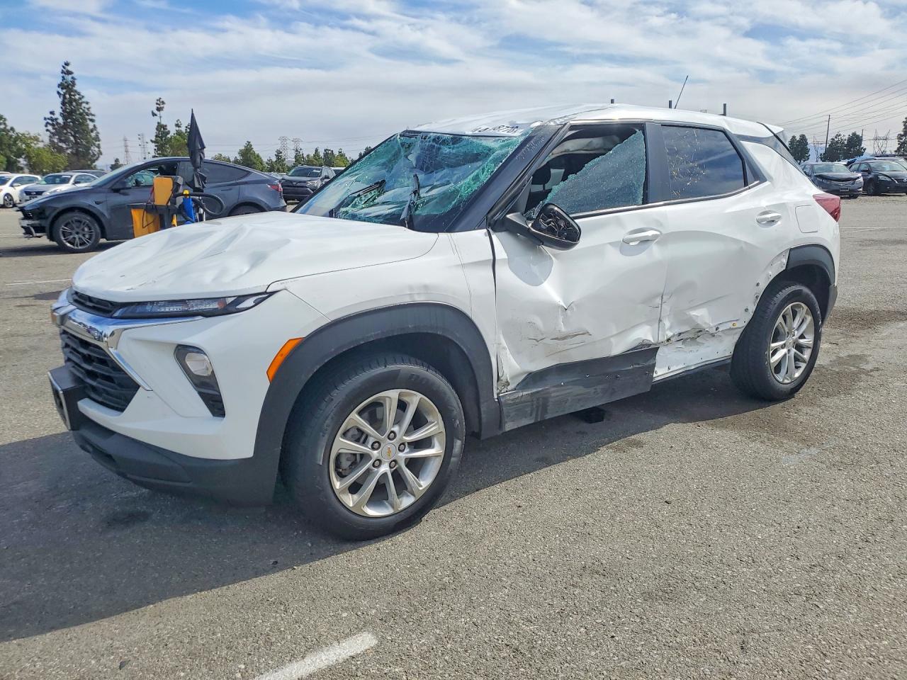 Salvage Chevrolet Trailblaze Image