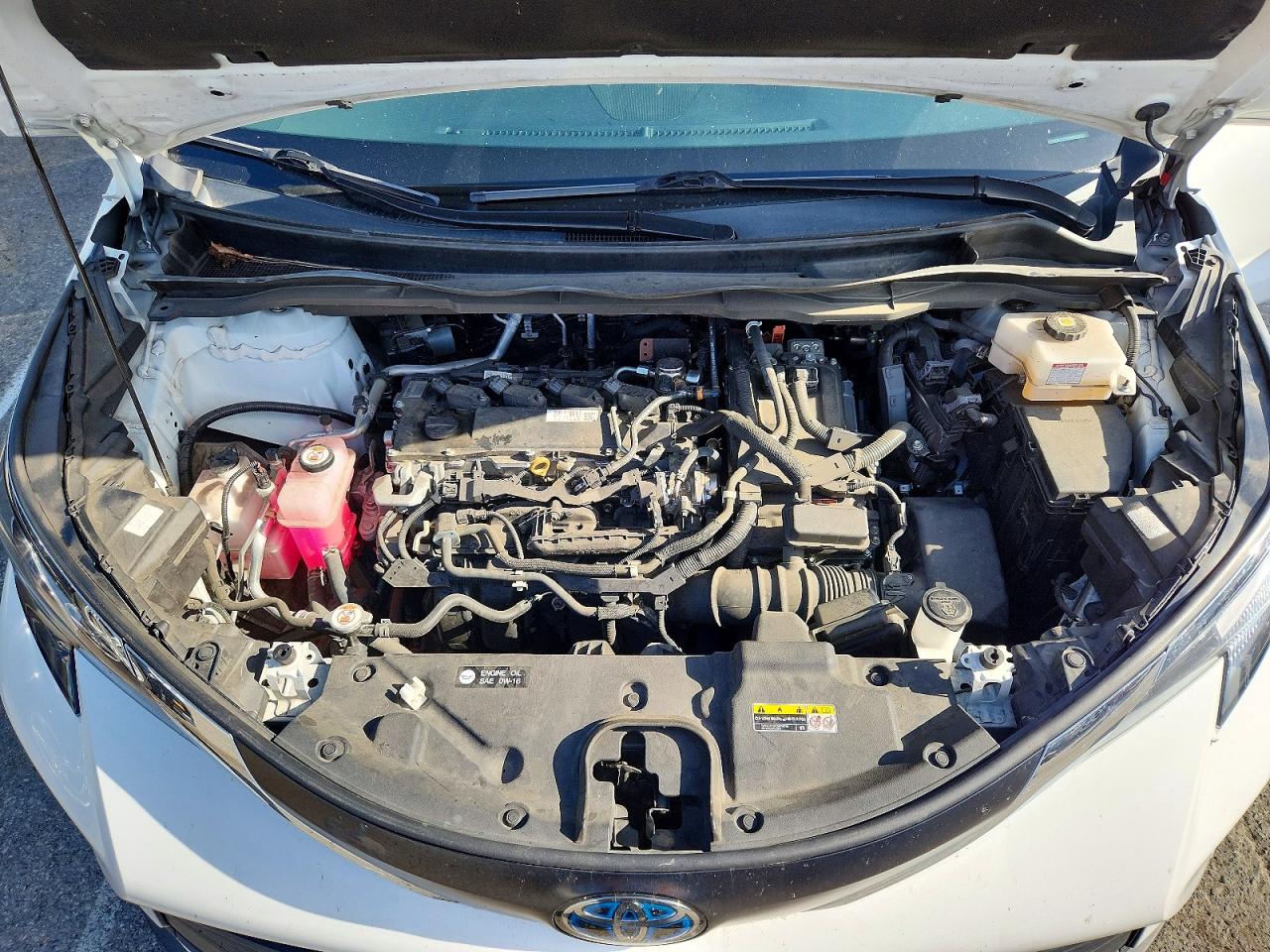 Toyota Sienna Le