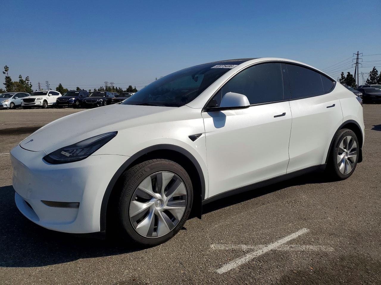 Salvage Tesla Model Y Image