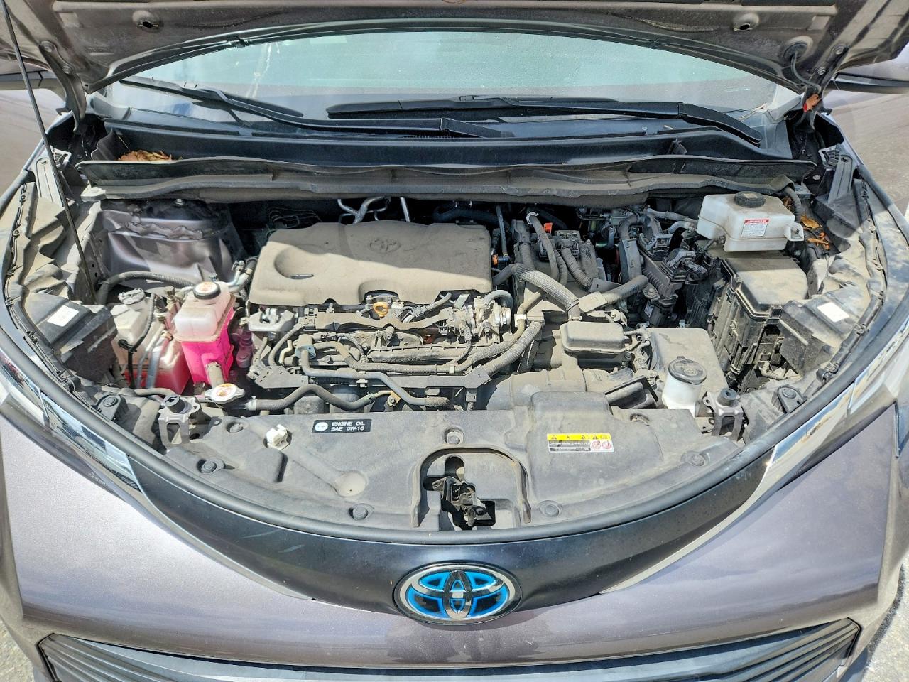 Toyota Sienna Xle