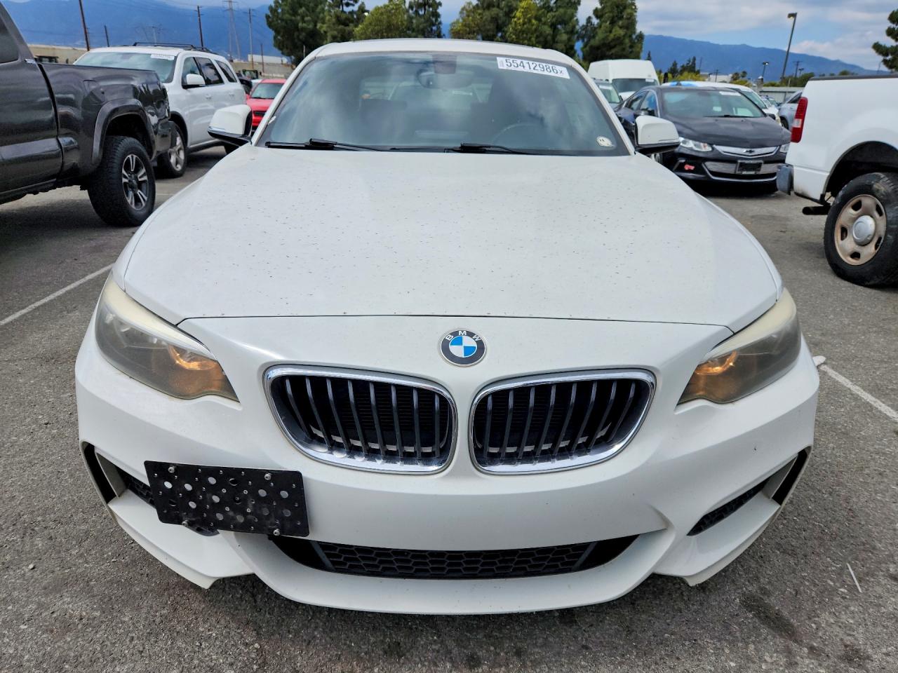 BMW 2 Series I Sulev
