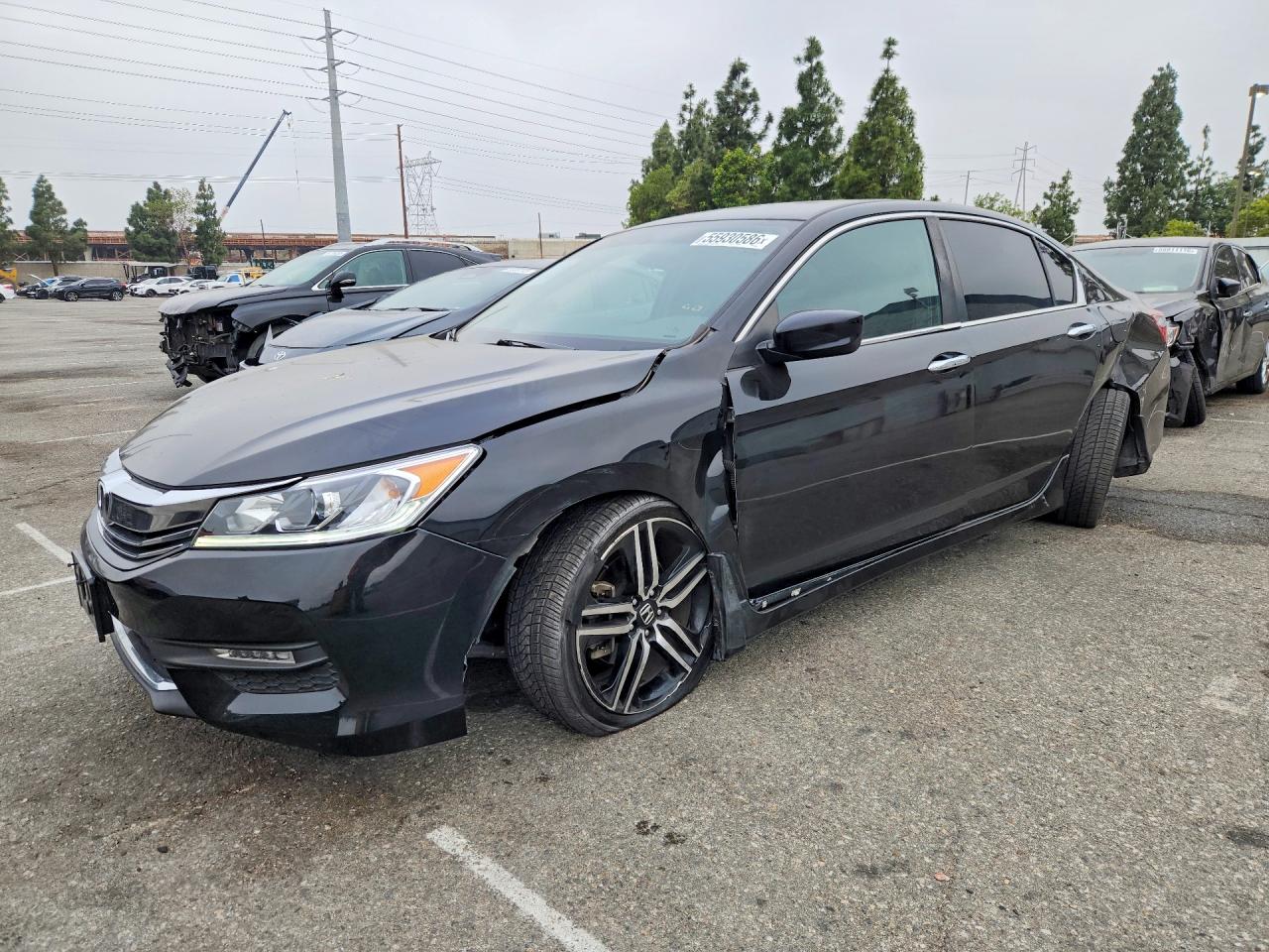 Salvage Honda Accord Image