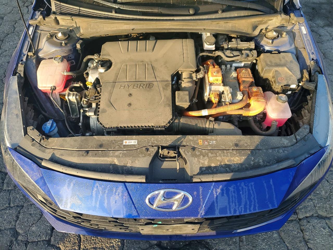 Hyundai ELANTRA Blue