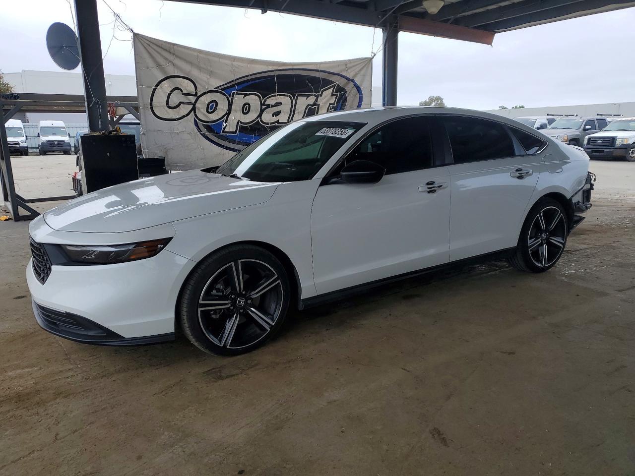 Salvage Honda Accord Image
