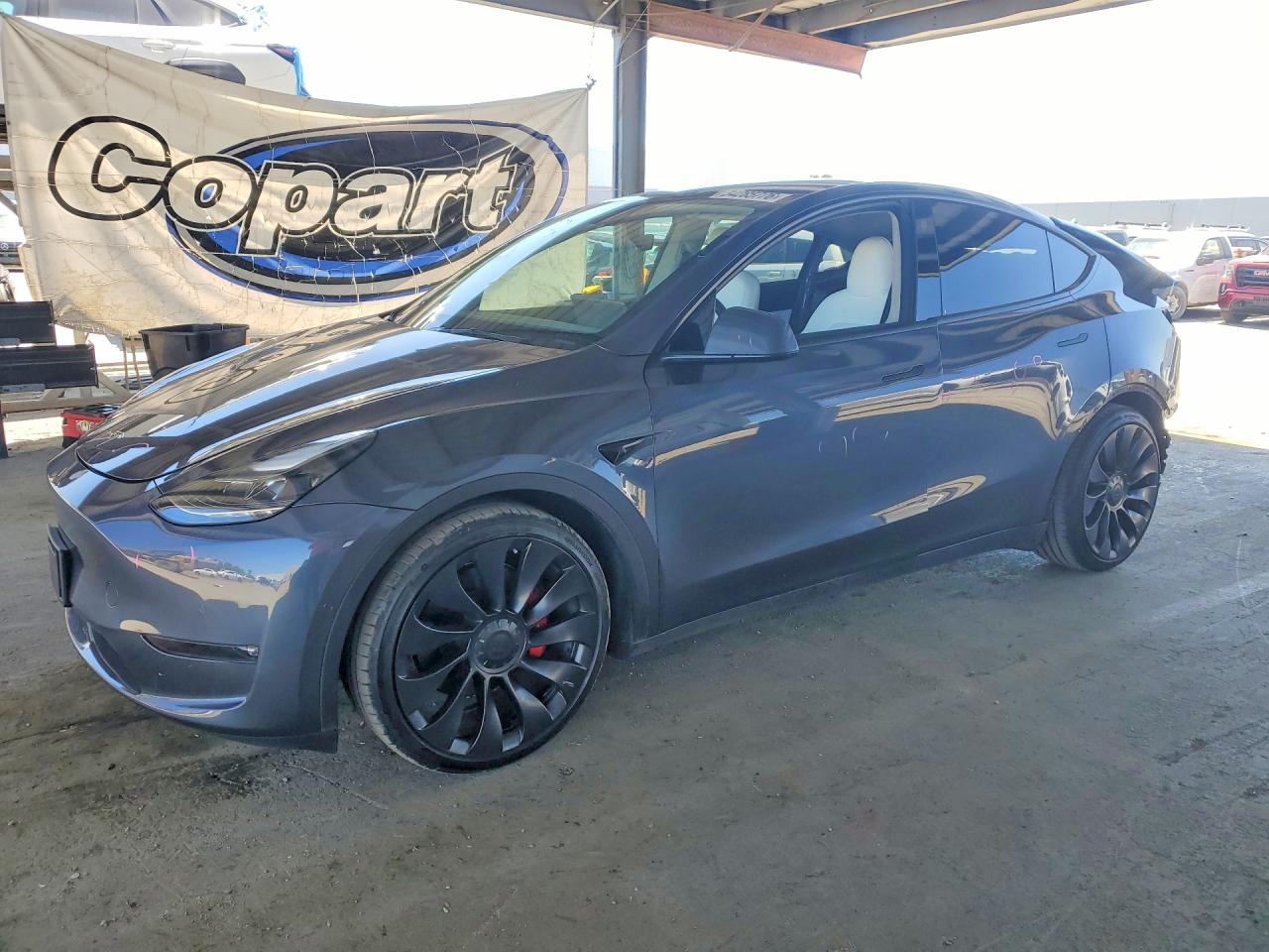 Salvage Tesla Model Y Image
