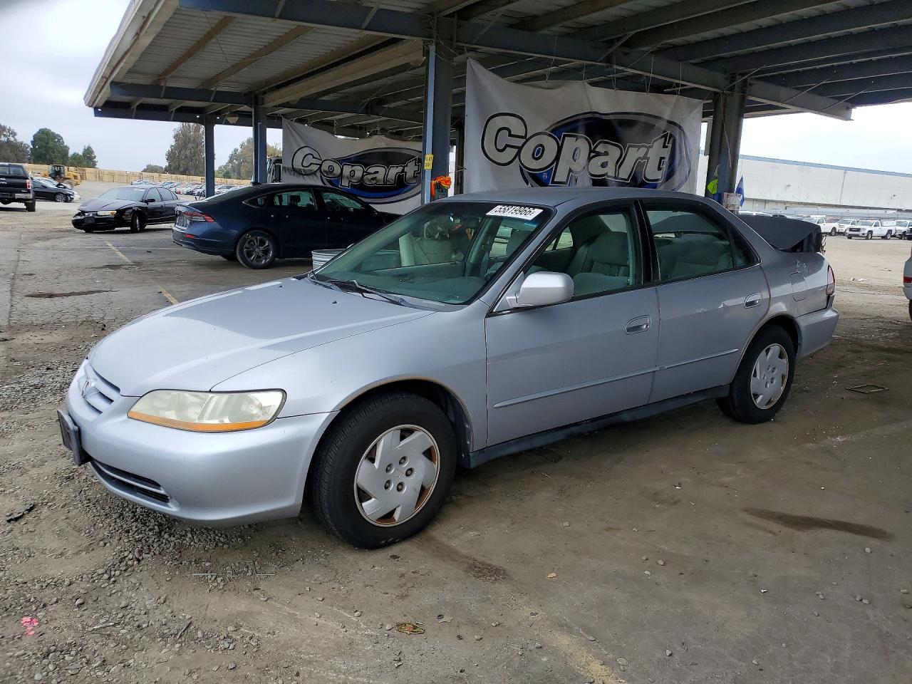 Salvage Honda Accord Image