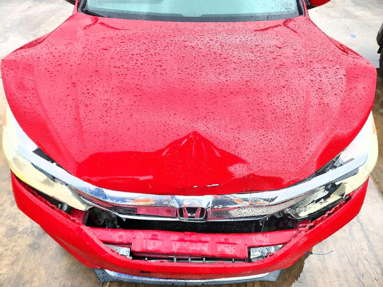 Honda Accord Sport Special Edition