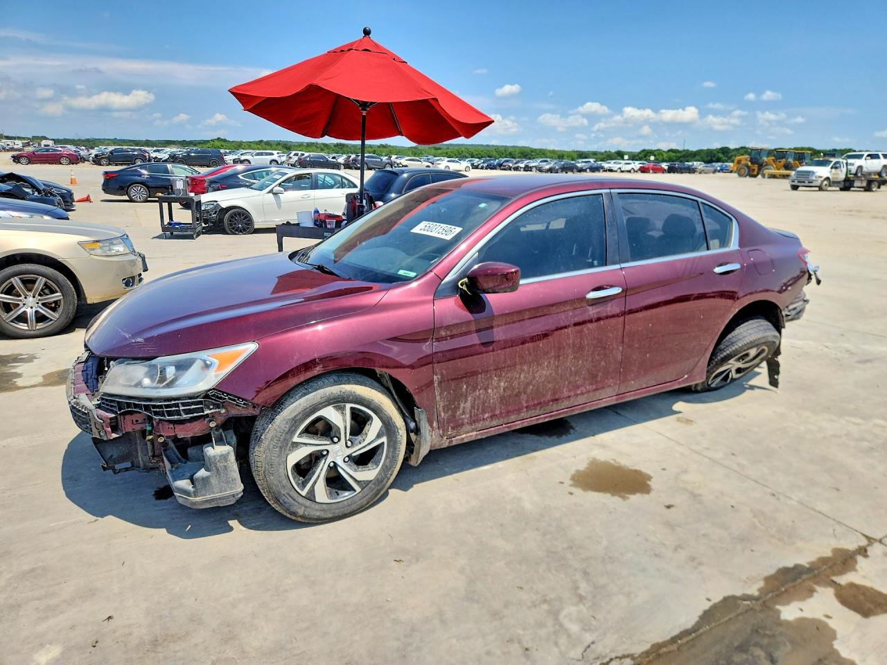 Salvage Honda Accord Image