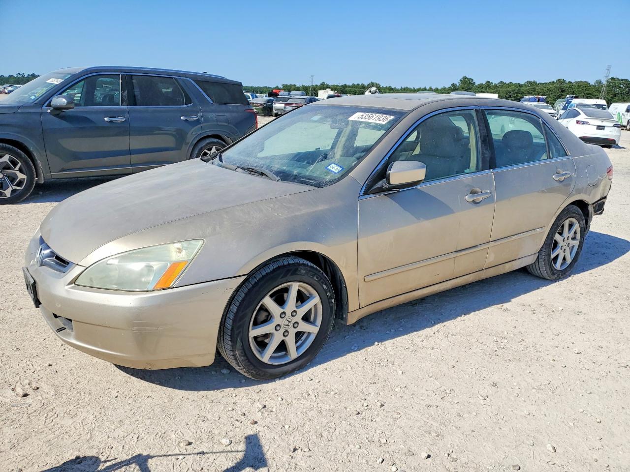 Salvage Honda Accord Image