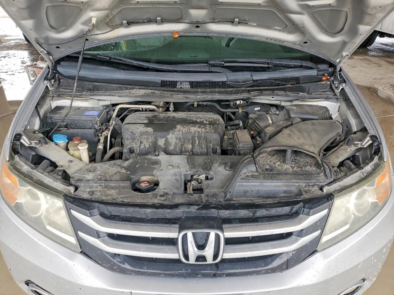 Honda Odyssey Exl