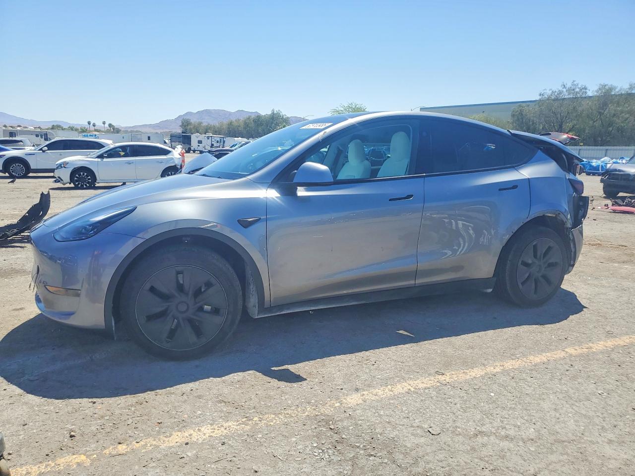 Salvage Tesla Model Y Image