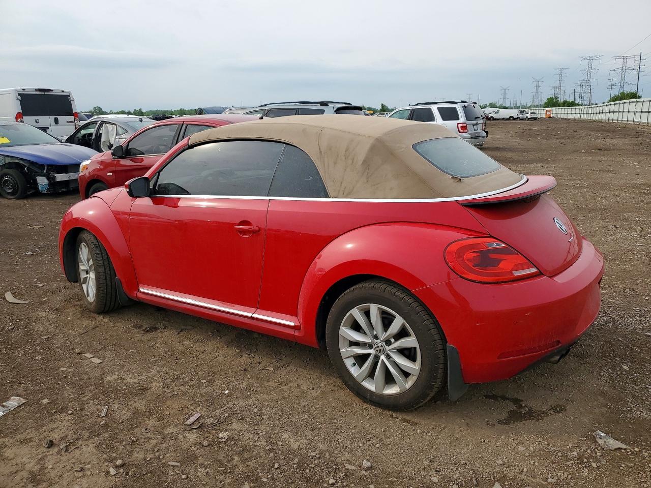 Volkswagen Beetle