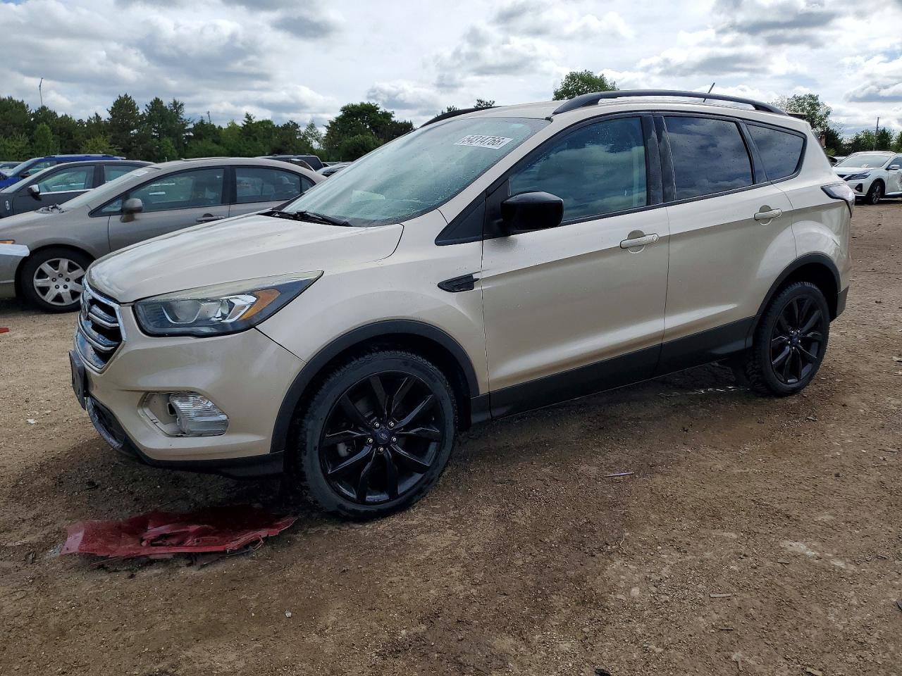 Salvage Ford Escape Image