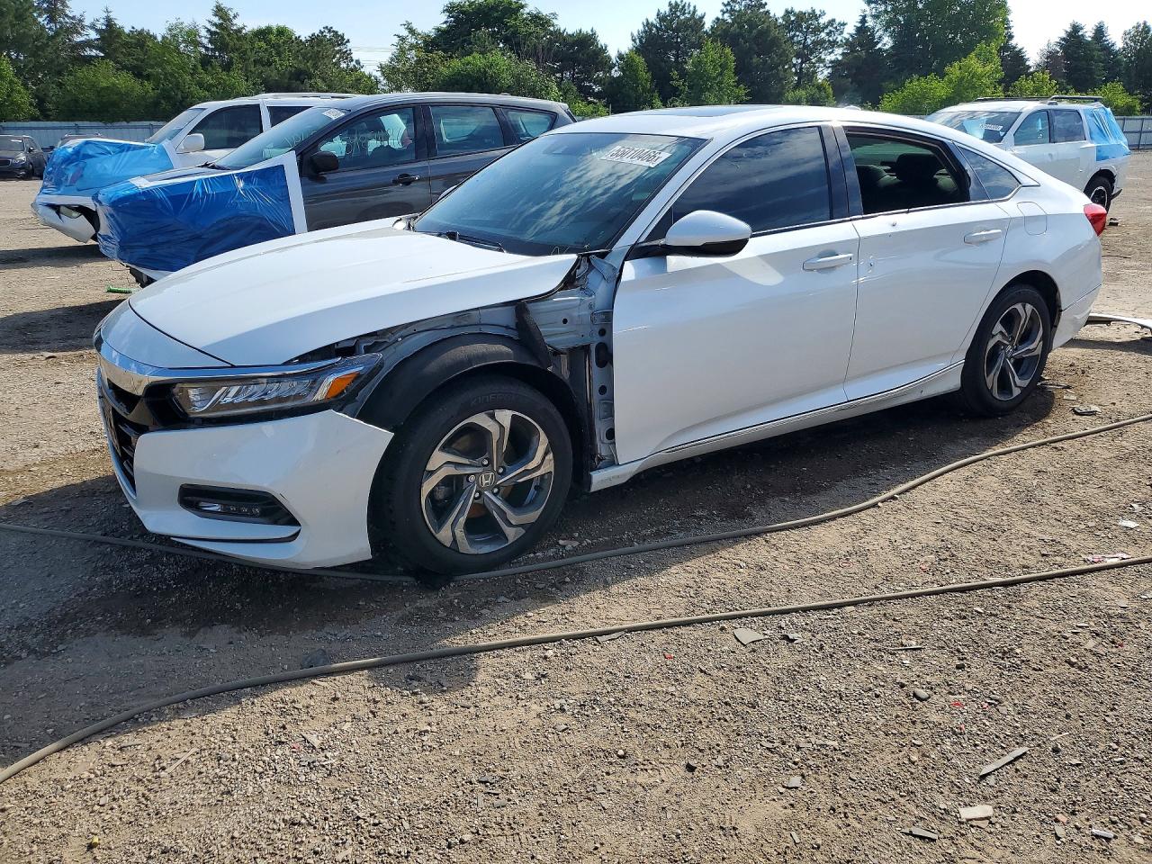 Salvage Honda Accord Image