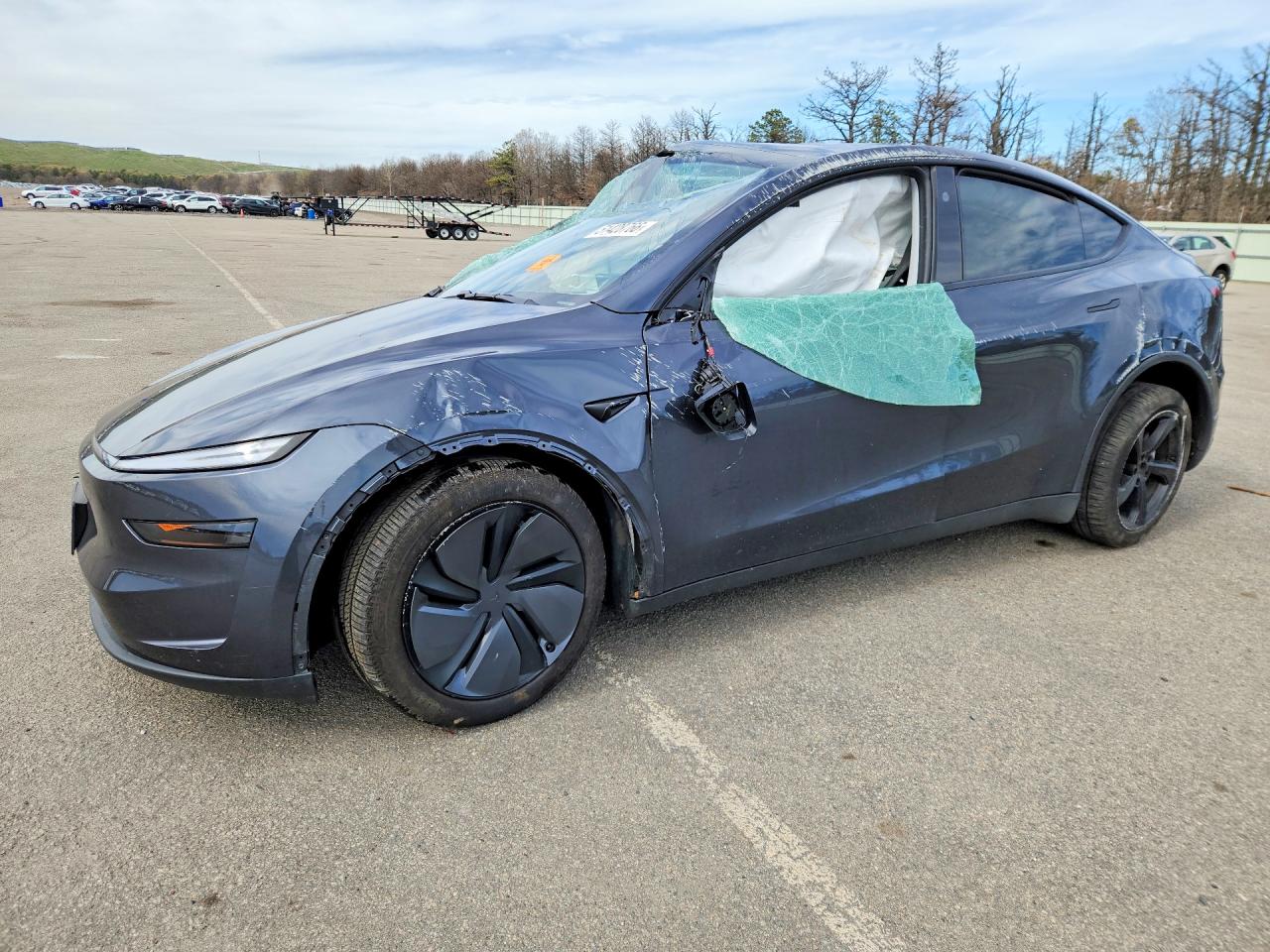 Salvage Tesla Model Y Image