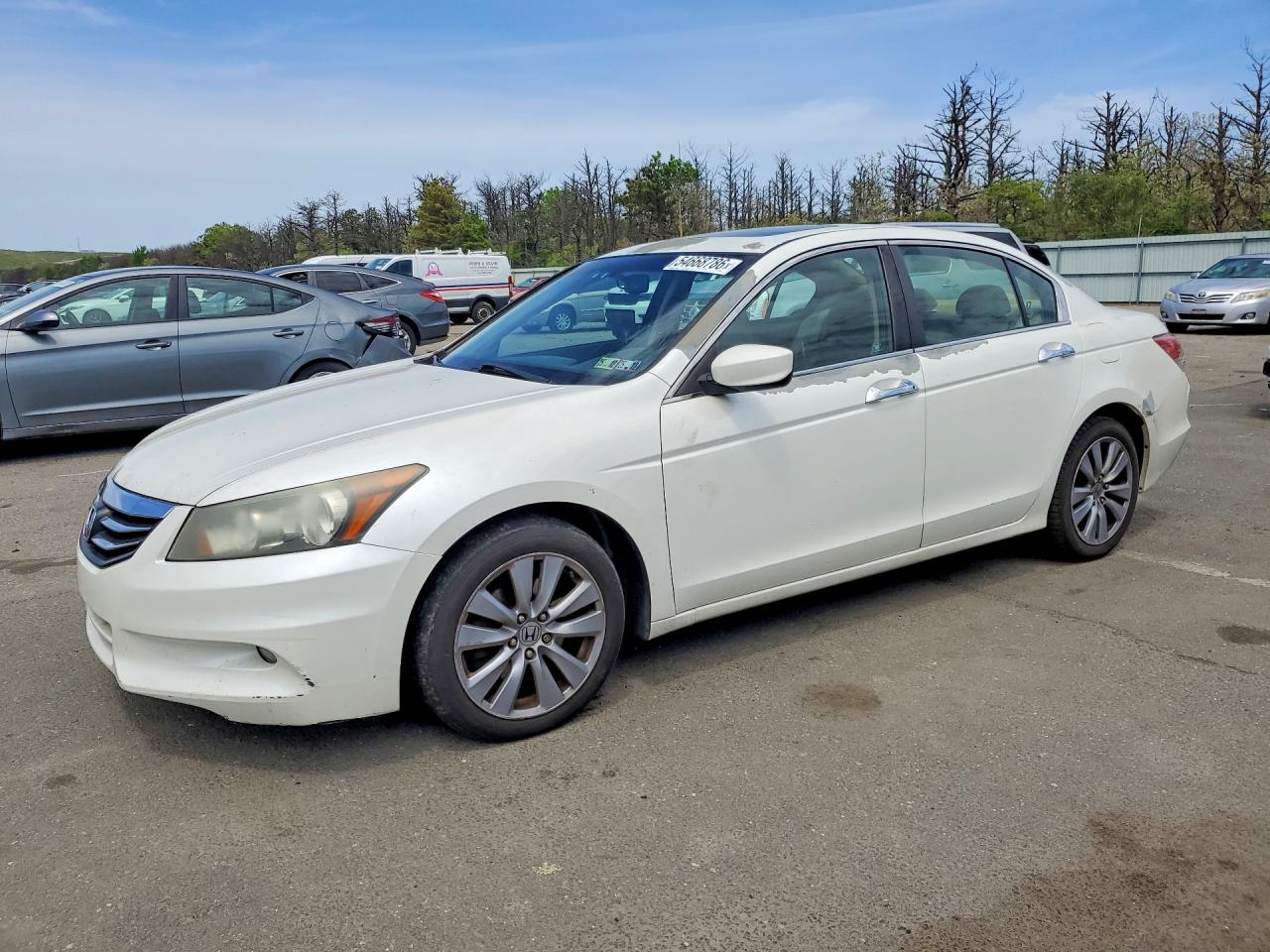 Salvage Honda Accord Image