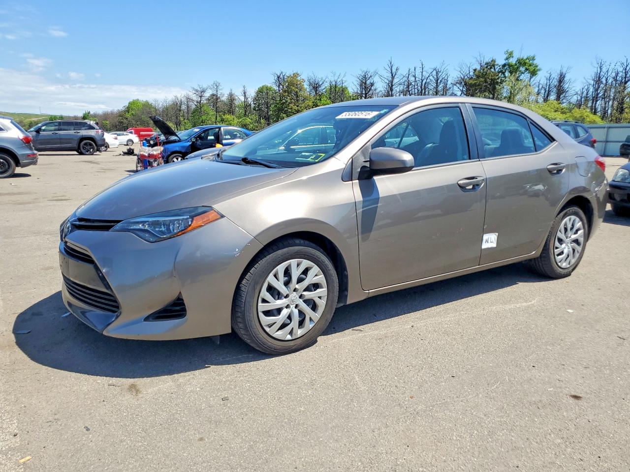 Salvage Toyota Corolla Image