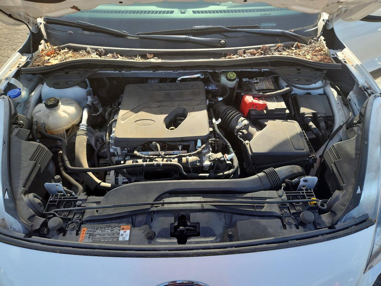 Ford Escape Sel