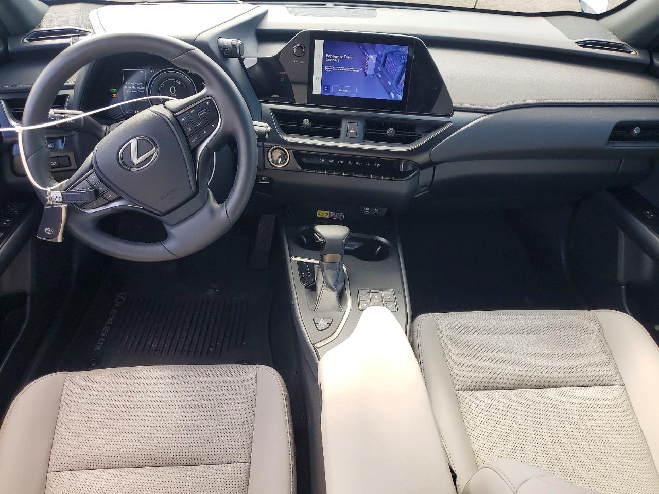 Lexus Other F Sport Design