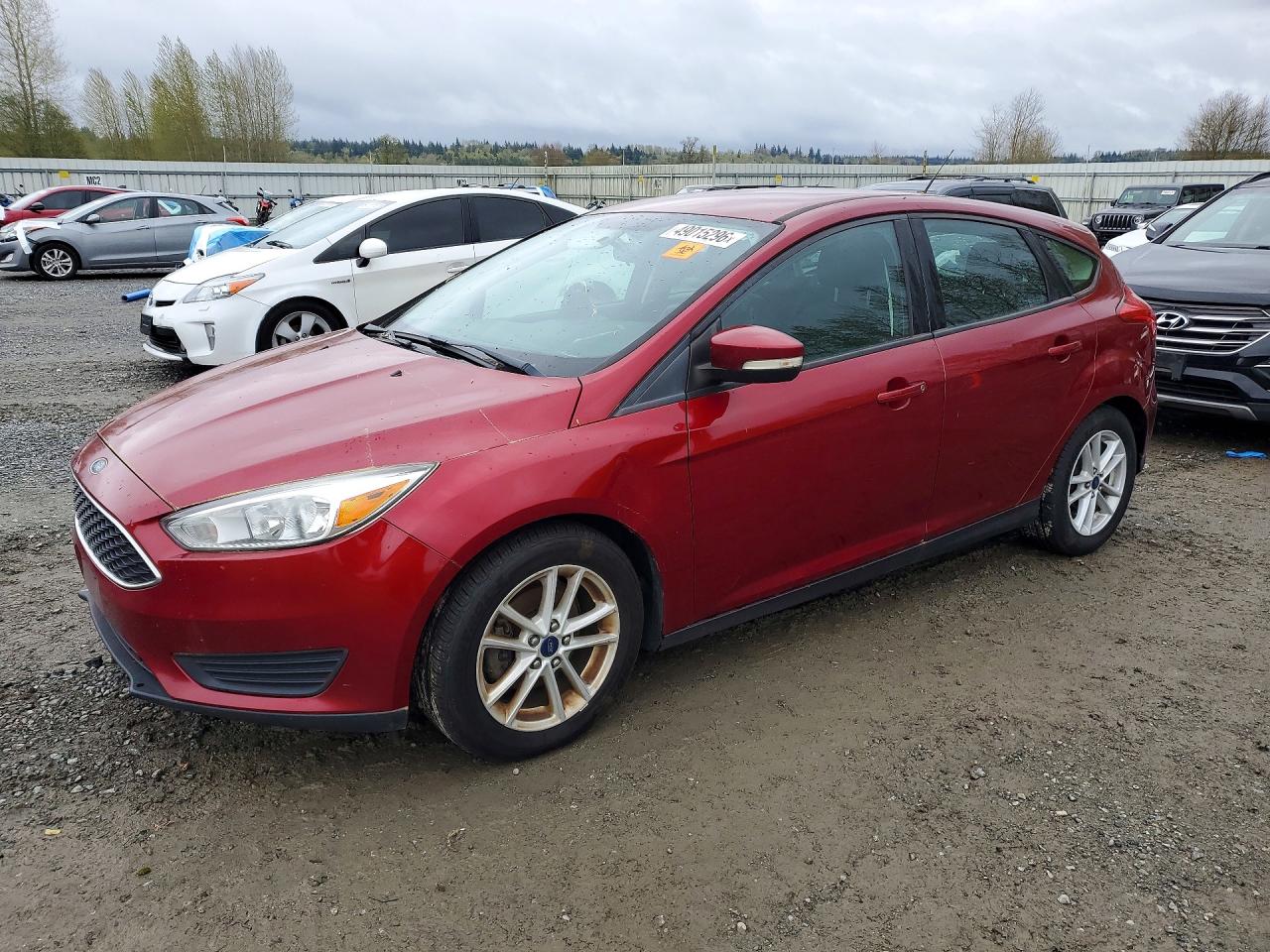 Salvage Ford Focus Image