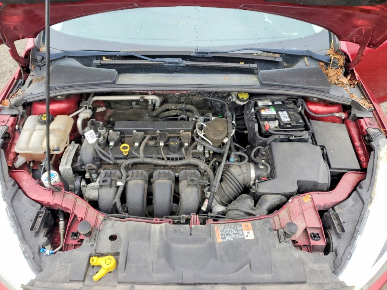 Ford Focus Se