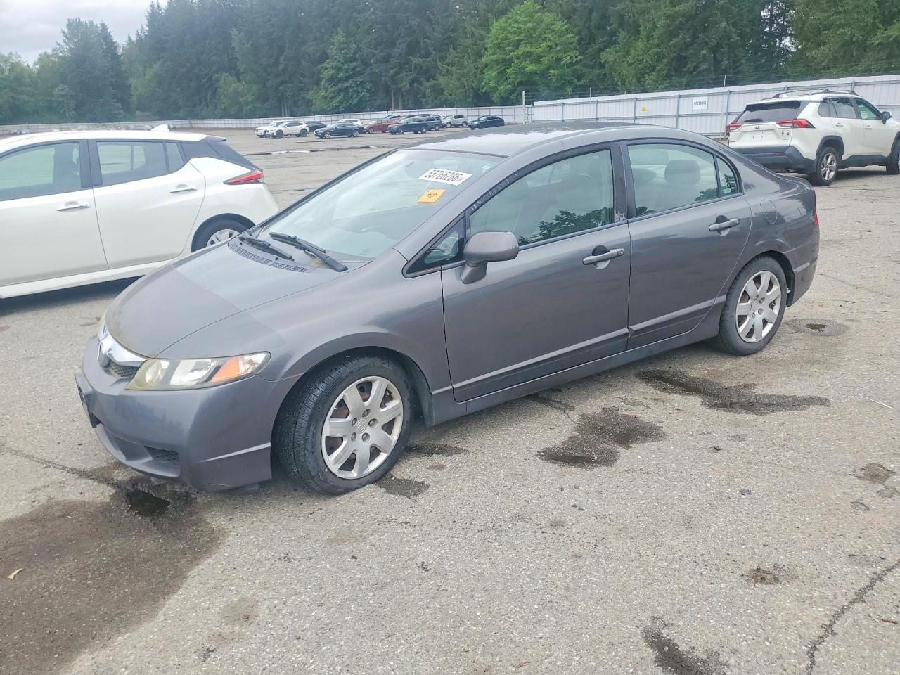 Salvage Honda Civic Image