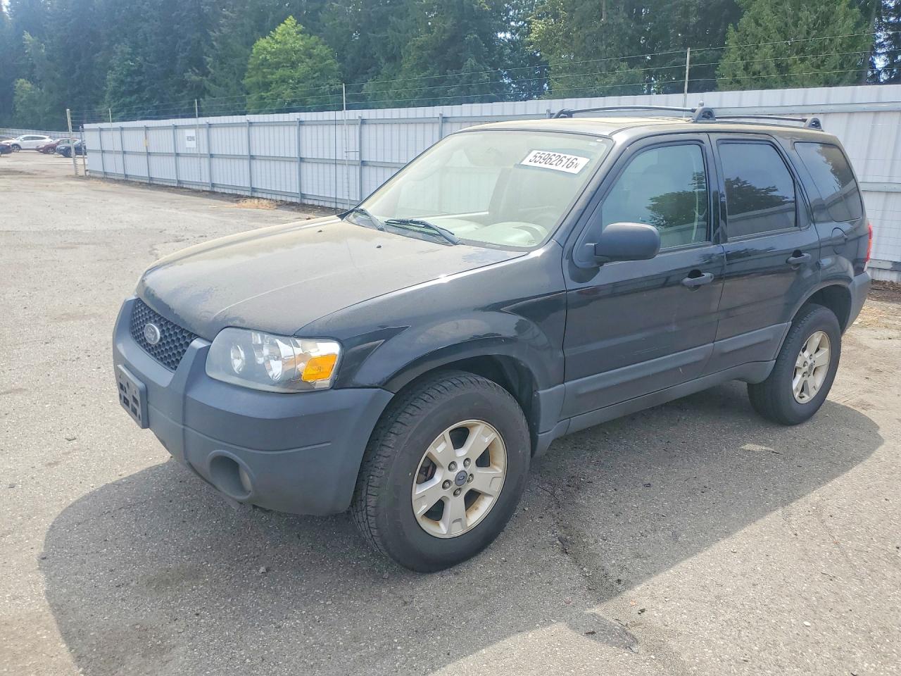 Salvage Ford Escape Image