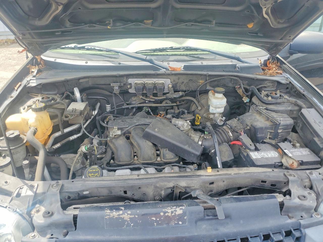 Ford Escape Xlt