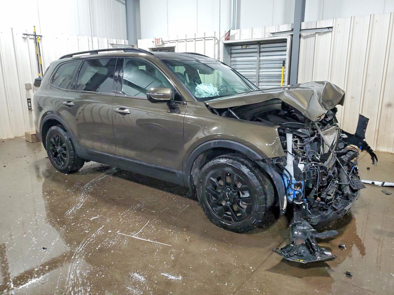 Kia Telluride Sx-prestige X-pro