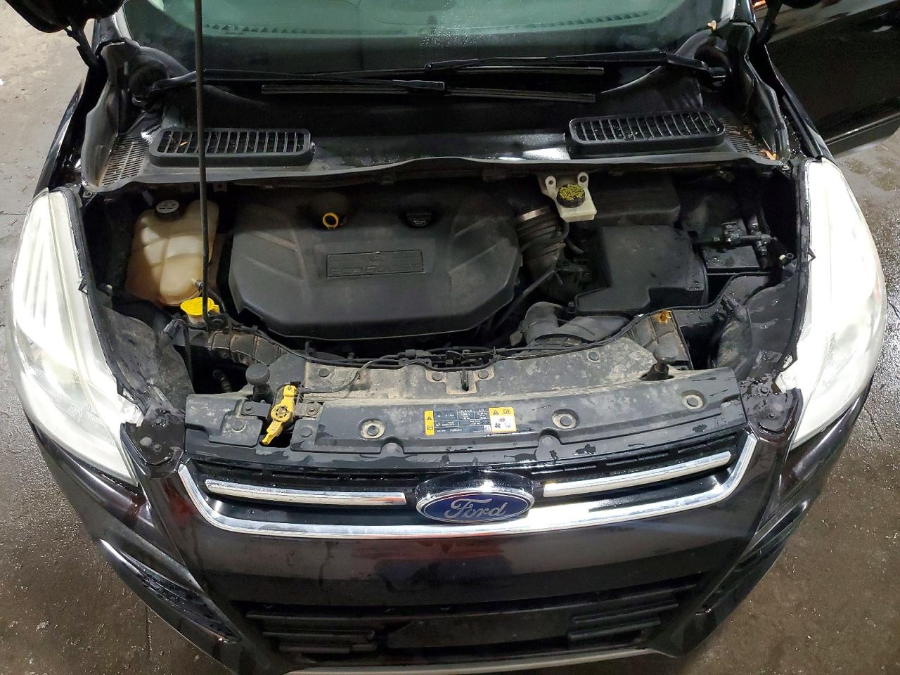 Ford Escape Sel