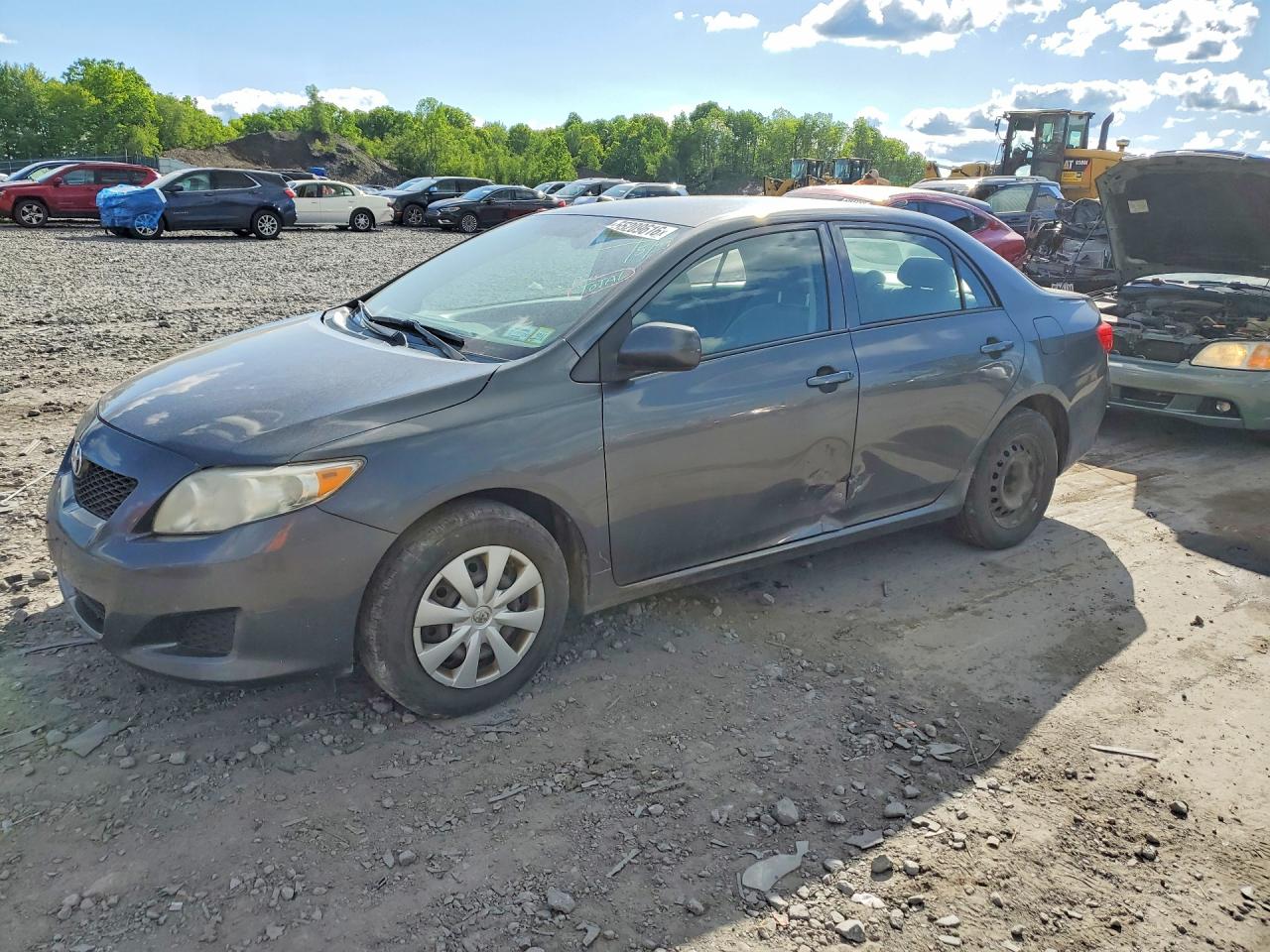 Salvage Toyota Corolla Image