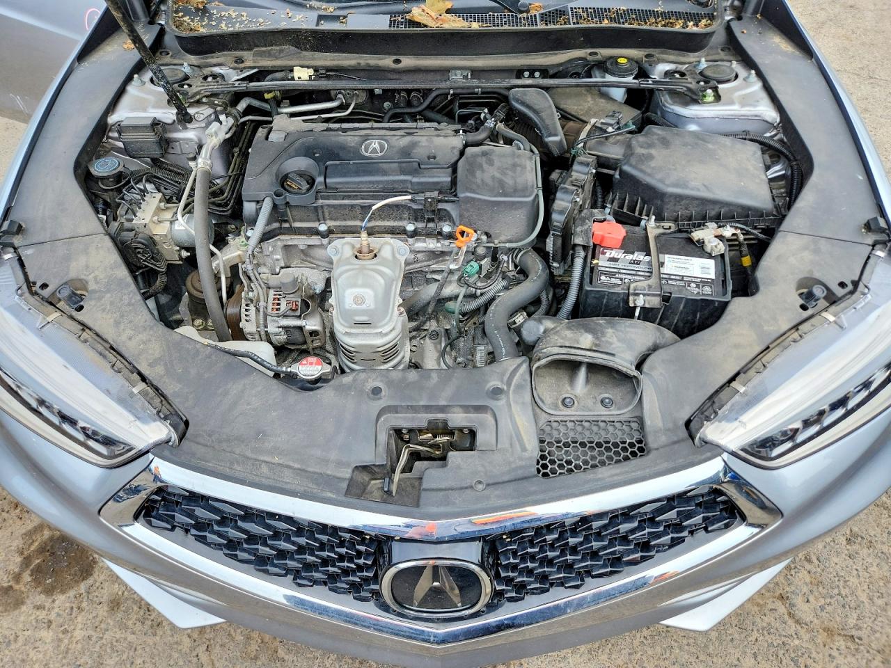 Acura TLX