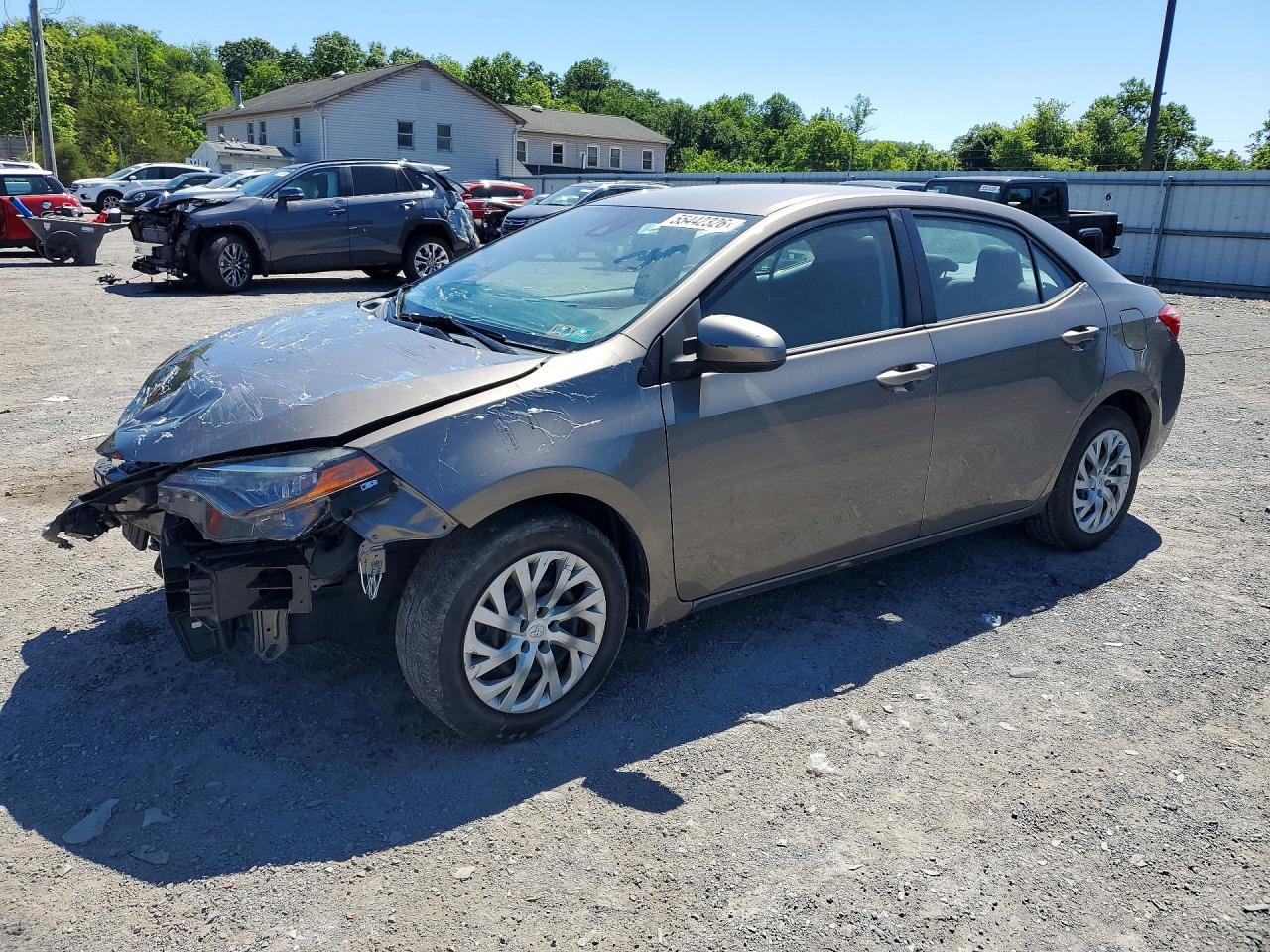 Salvage Toyota Corolla Image
