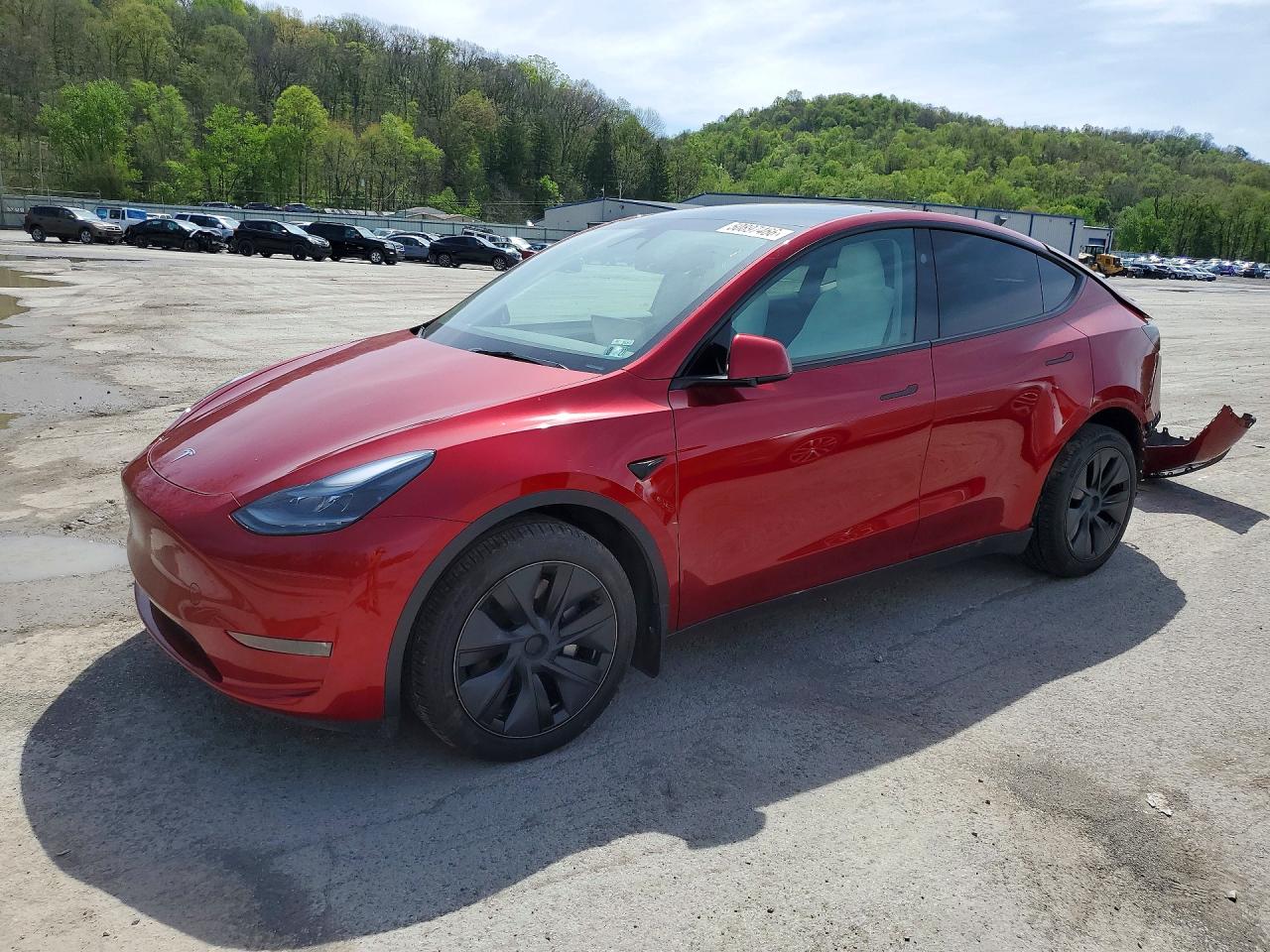 Salvage Tesla Model Y Image