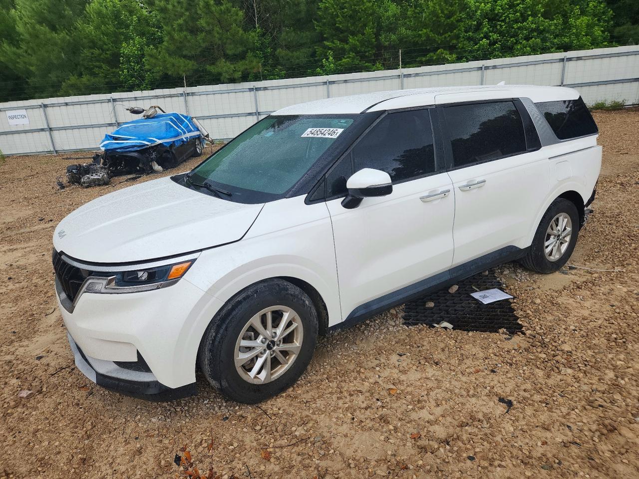 Salvage Kia Carnival Image