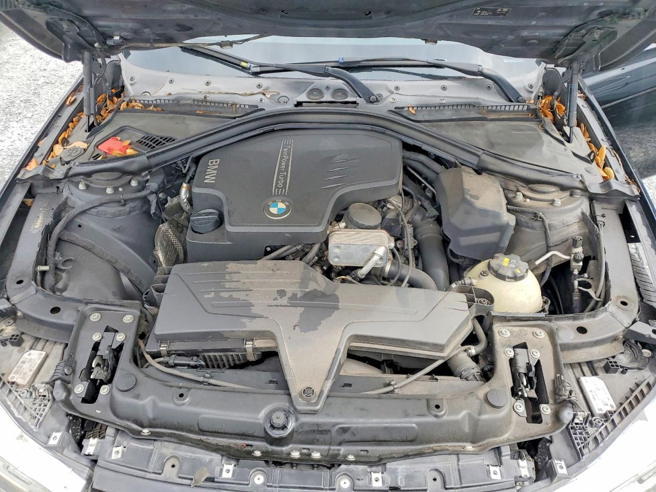 BMW 3 Series I Sulev