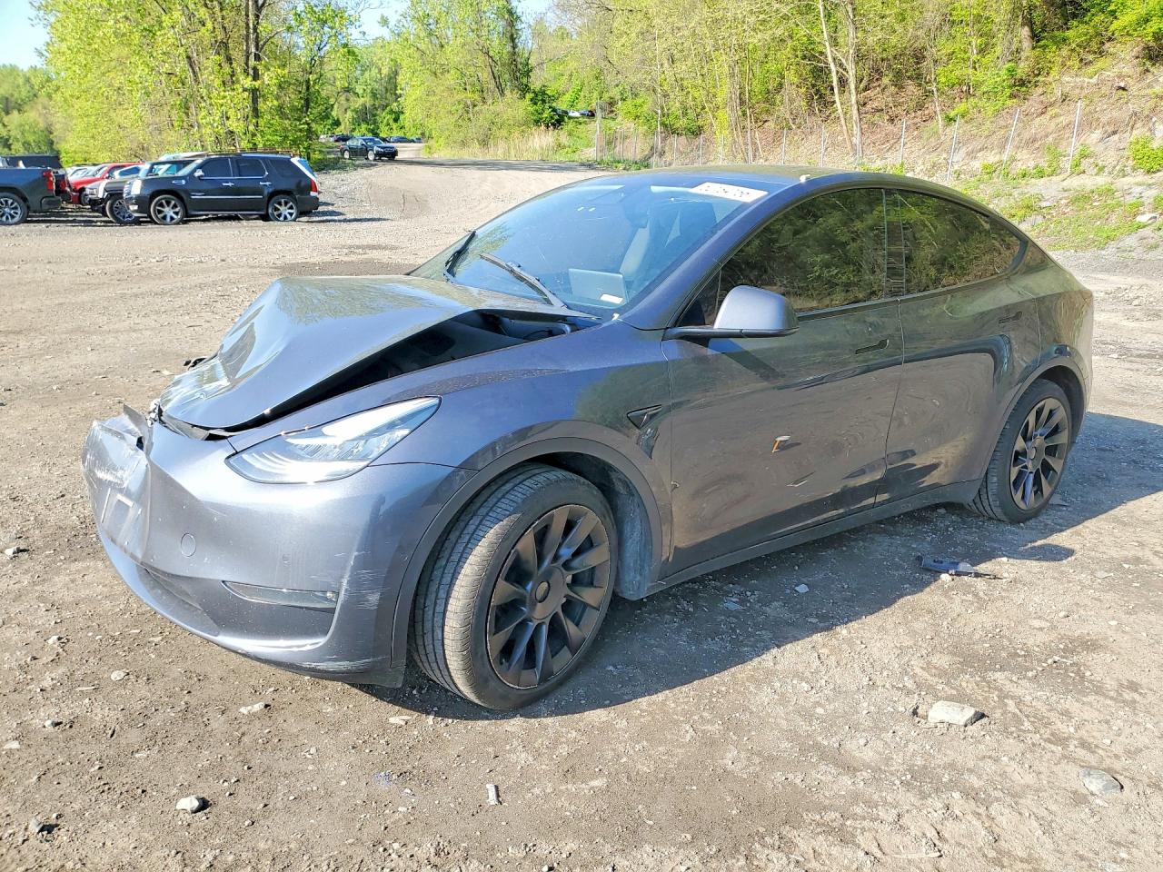 Salvage Tesla Model Y Image