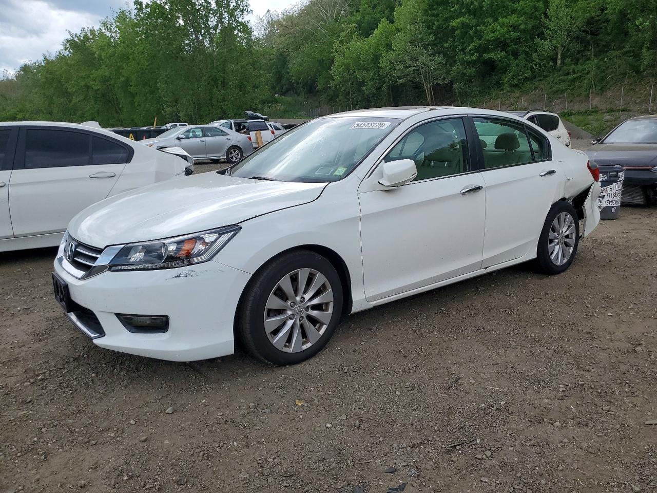 Salvage Honda Accord Image