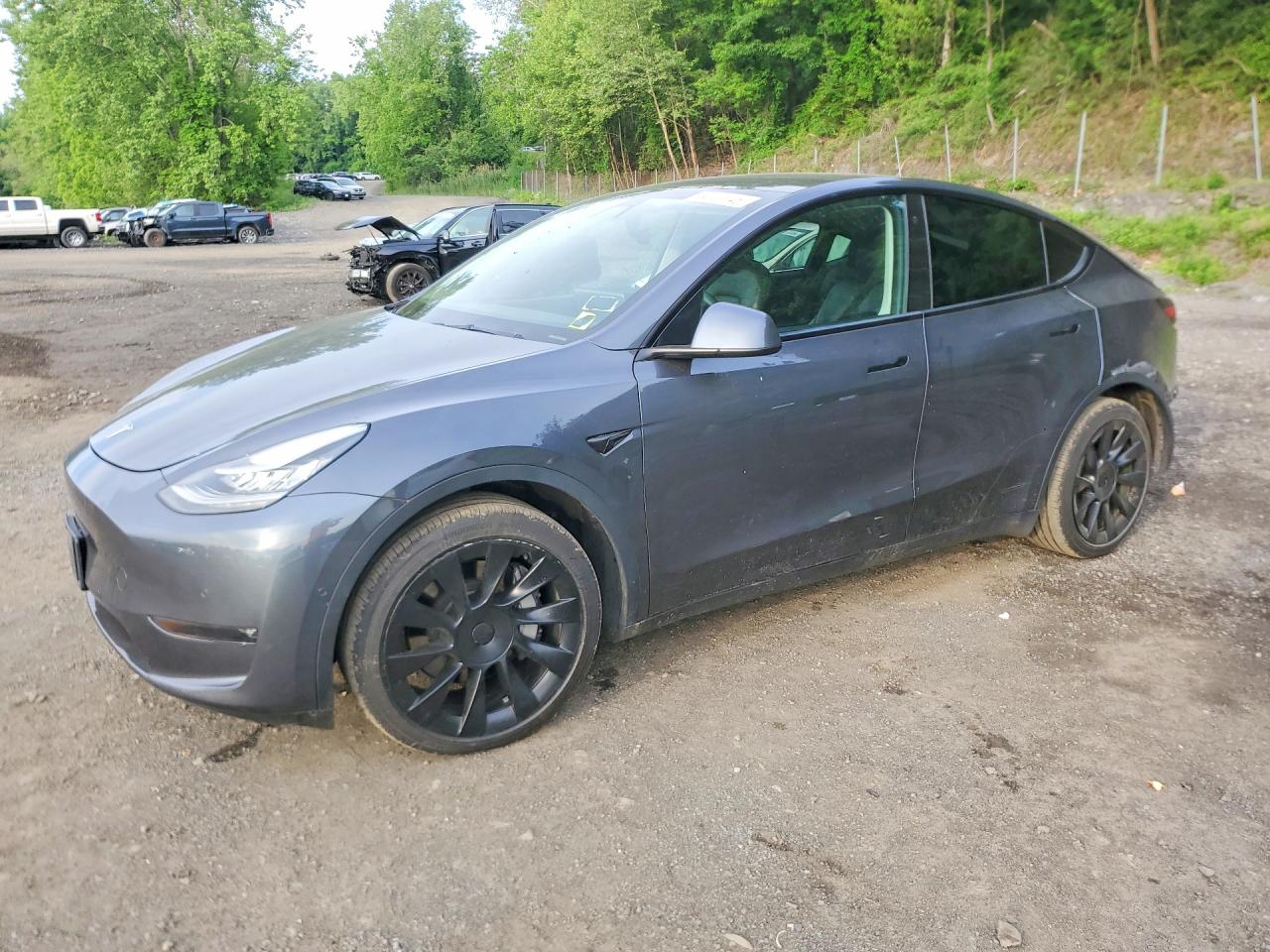 Salvage Tesla Model Y Image