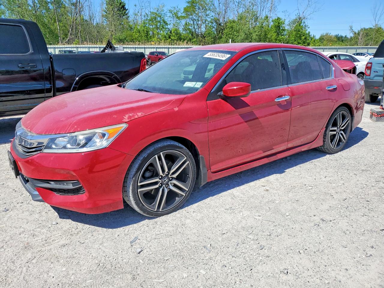 Salvage Honda Accord Image