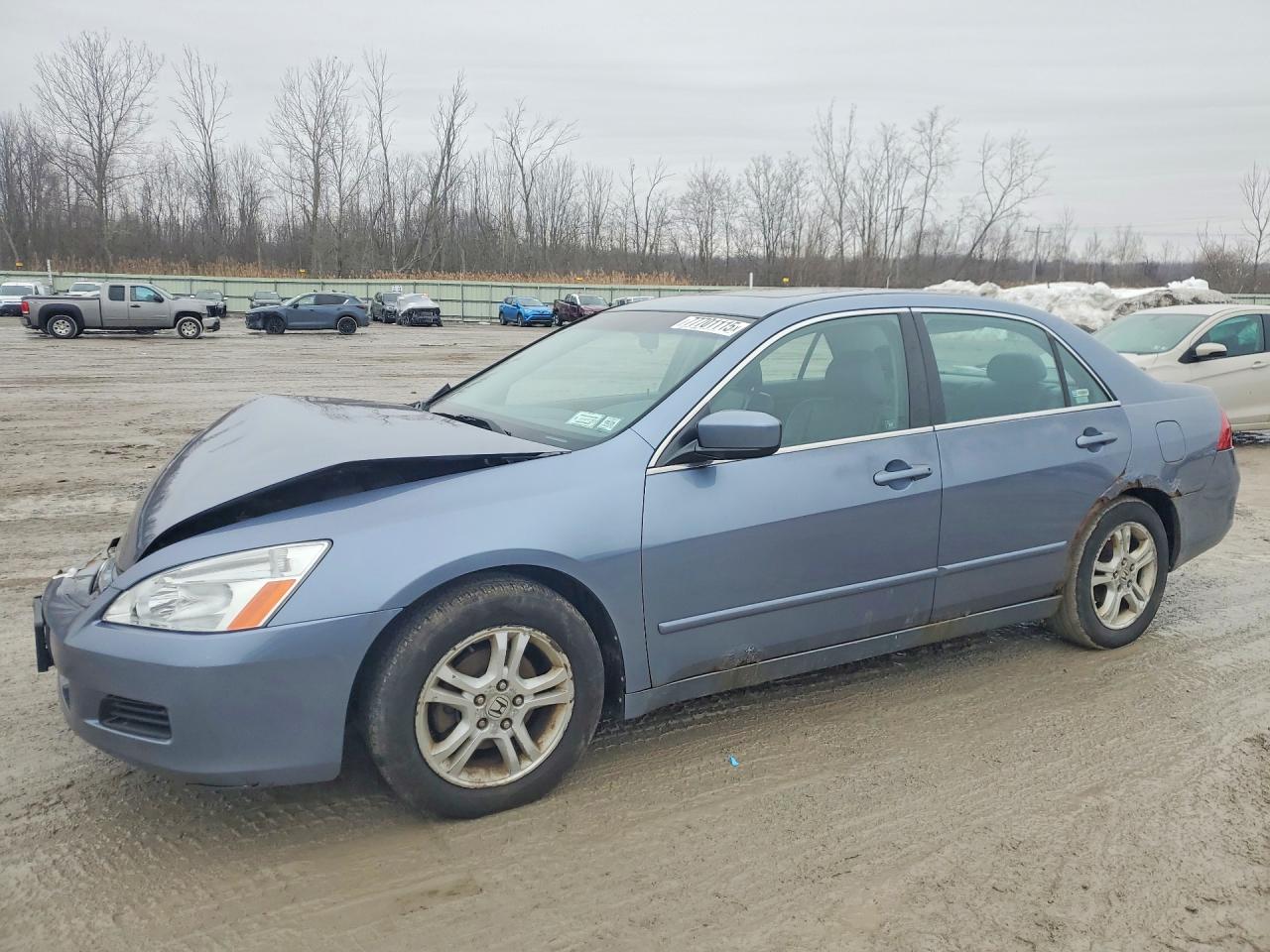 Salvage Honda Accord Image