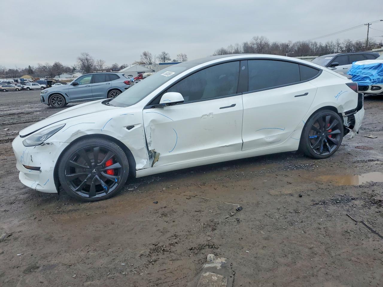 Salvage Tesla Model 3 Image